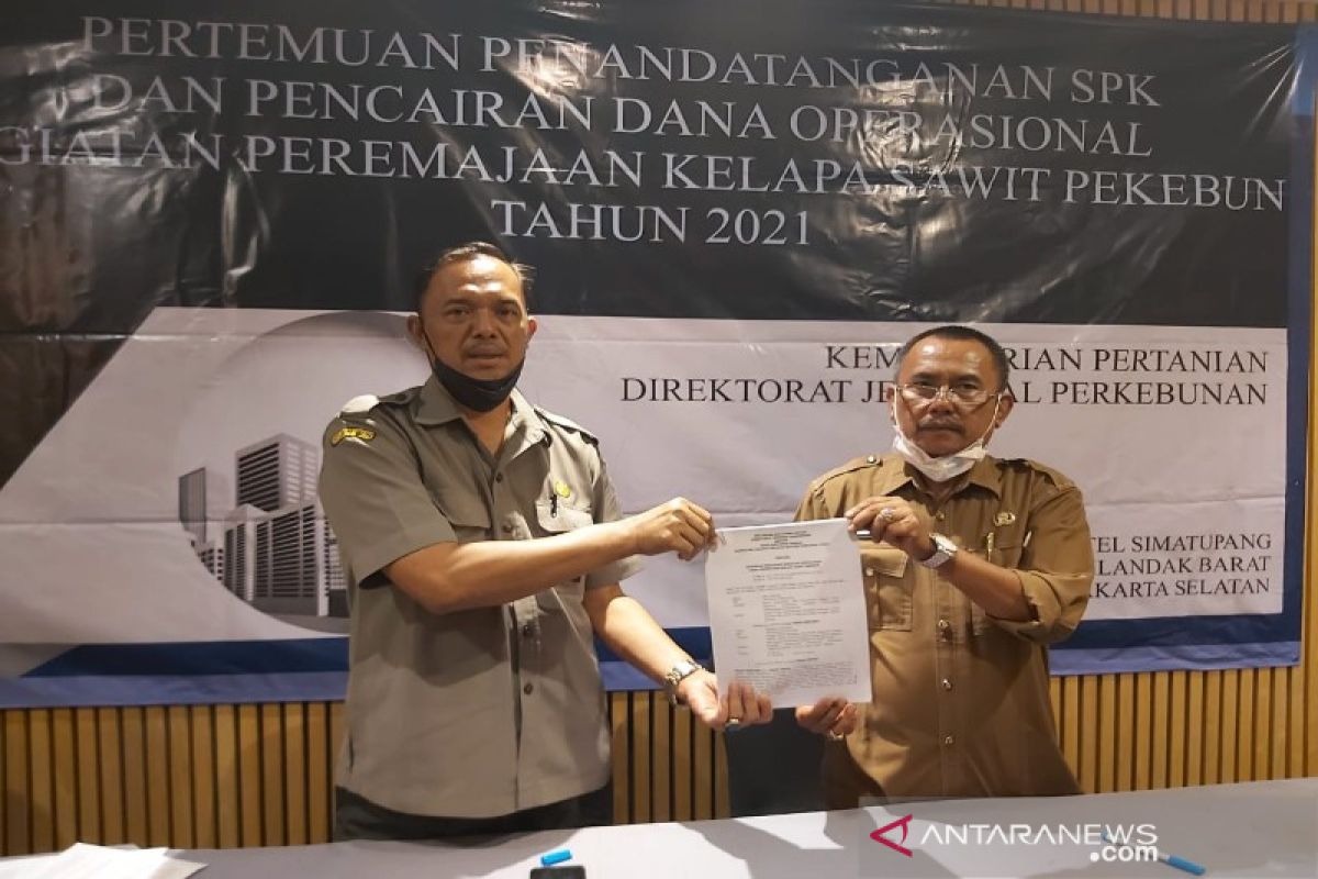 Pemerintah pusat akan gelontorkan Rp30 miliar untuk petani sawit di Tapsel