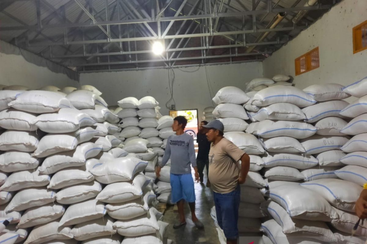 3.000 ton beras petani di Poso  tidak terserap pasar