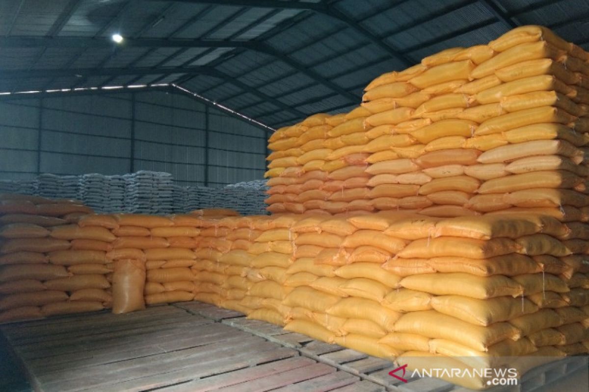 Sepanjang 2021, Bulog Sultra target serap beras petani 45 ribu ton