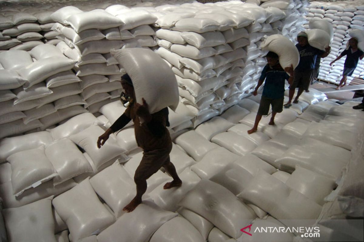 Mendag jamin tak ada impor beras saat petani panen raya