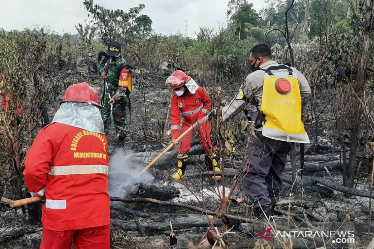 Bpbd Jambi Januari November 2021 Lahan Terbakar Capai 1729 Hektare Antara News 3014