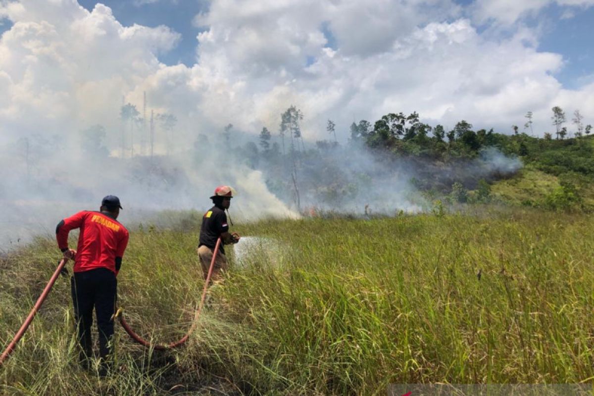 Tiga hektare lahan terbakar di Lembah Seulawah Aceh