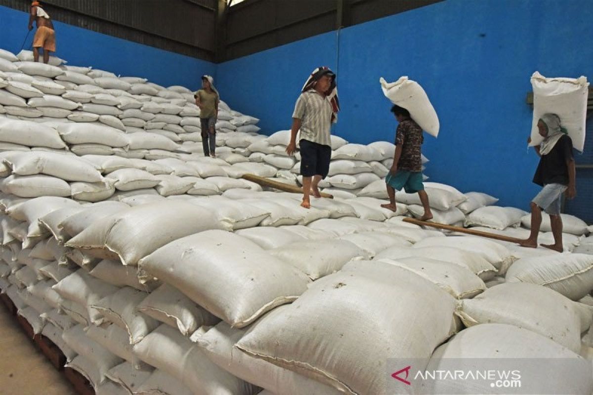 Masuki masa panen raya, Kementan pastikan stok beras aman jelang Ramadhan