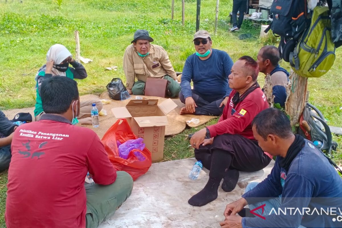 BKSDA Kalimantan Selatan Peringati Hari Konservasi Alam Nasional