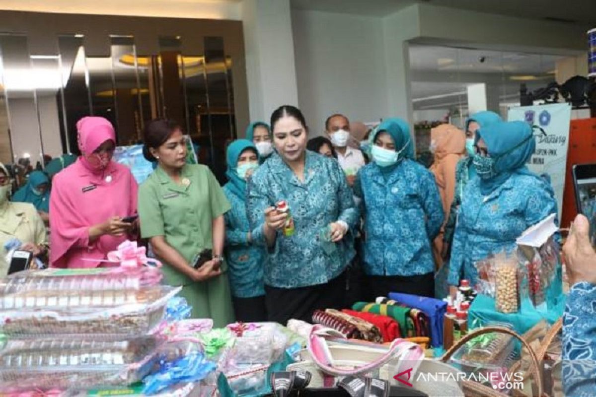 Ketua TP PKK Sulawesi Tenggara ajak kaum perempuan bangkit dari pandemi