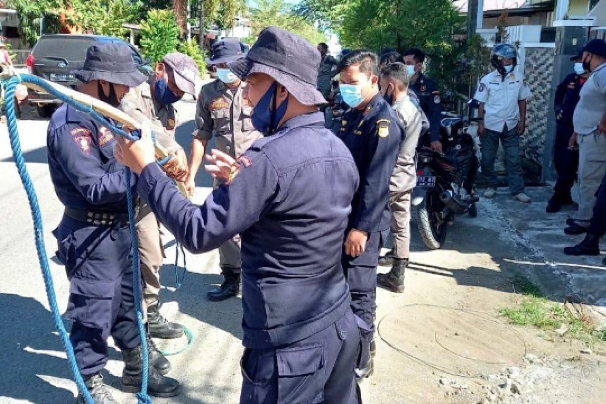 Satpol PP Mamuju tertibkan hewan ternak berkeliaran di permukiman