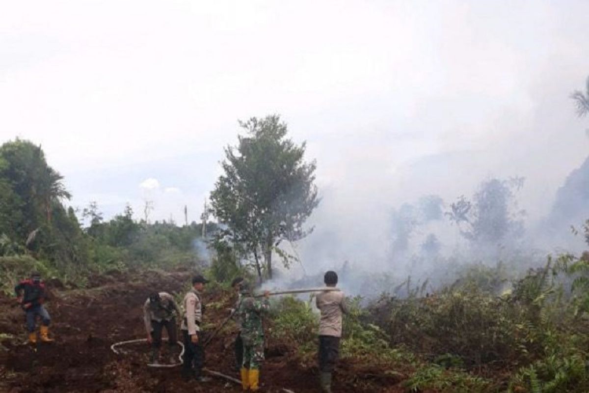 Tim gabungan masih padamkan karhutla di Pulau Padang