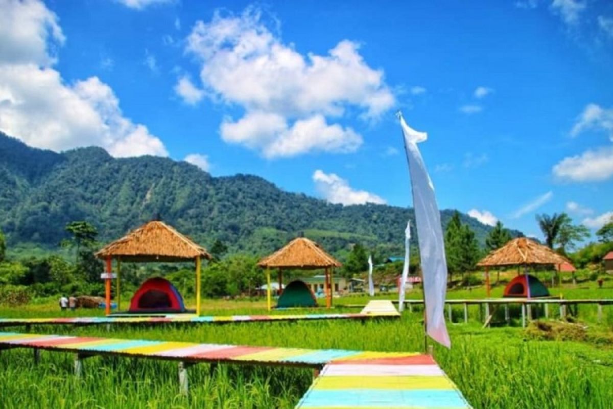 Kabupaten Langkat mengenalkan Wisata Tidur Sawah