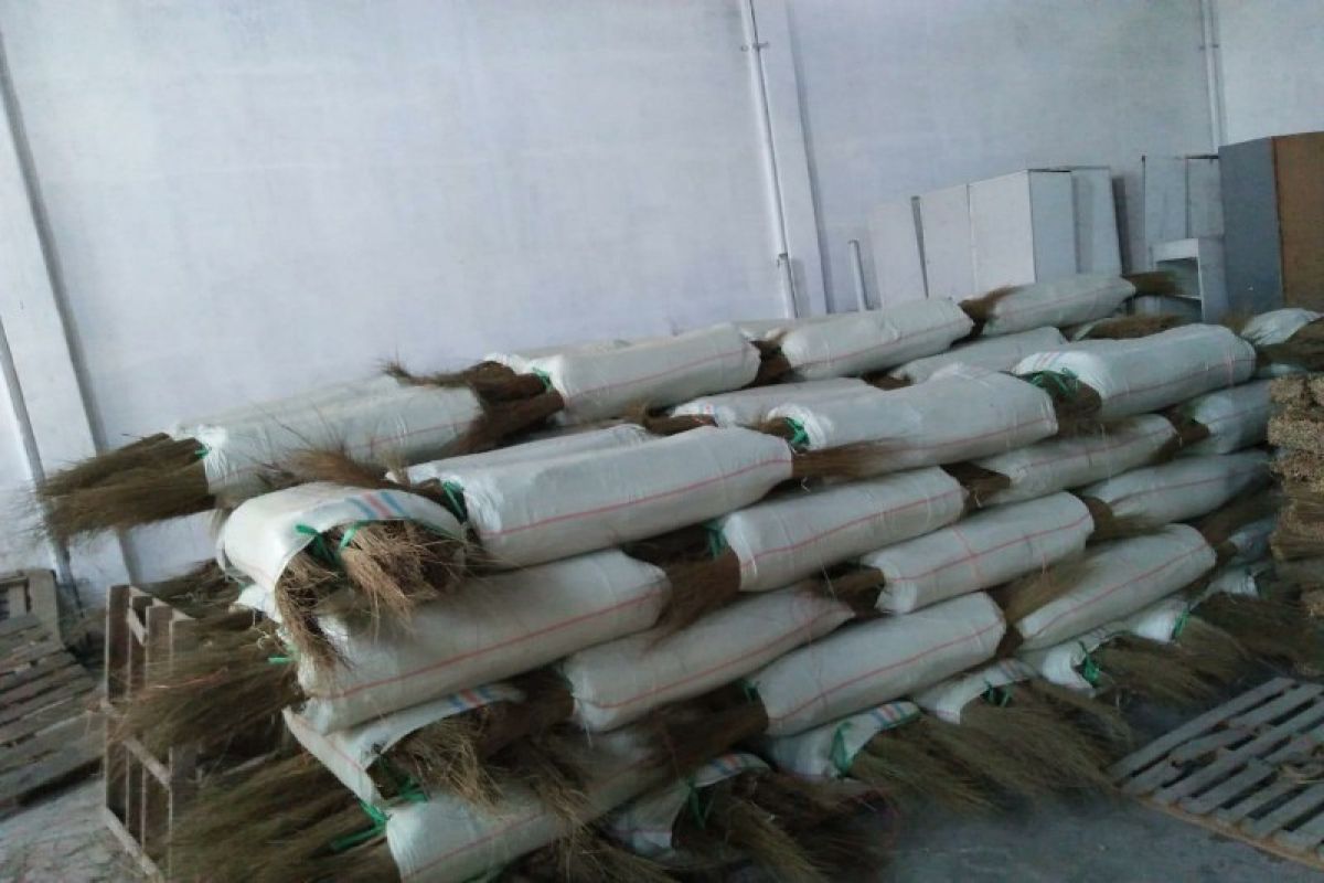 Sumut mulai ekspor lidi ke  Vietnam