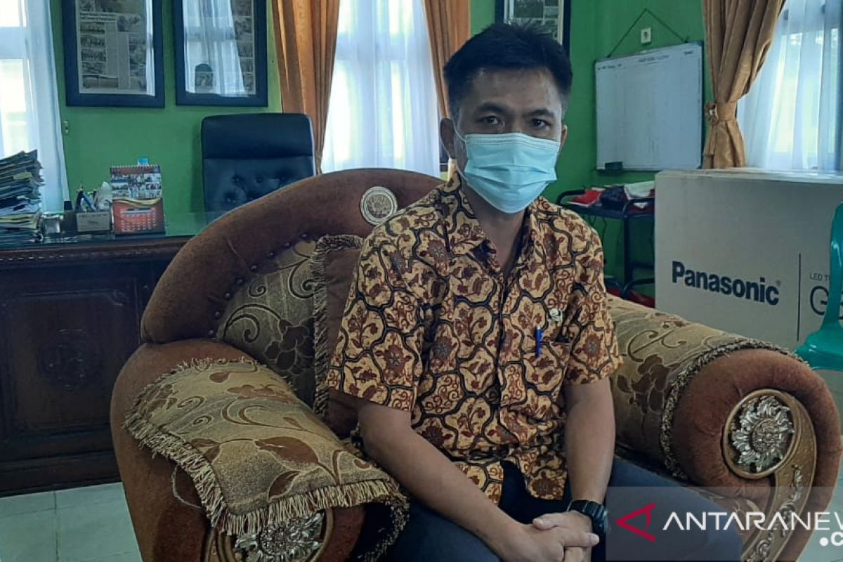 600 ekor babi di Kabupaten Bangka mati akibat virus ASF