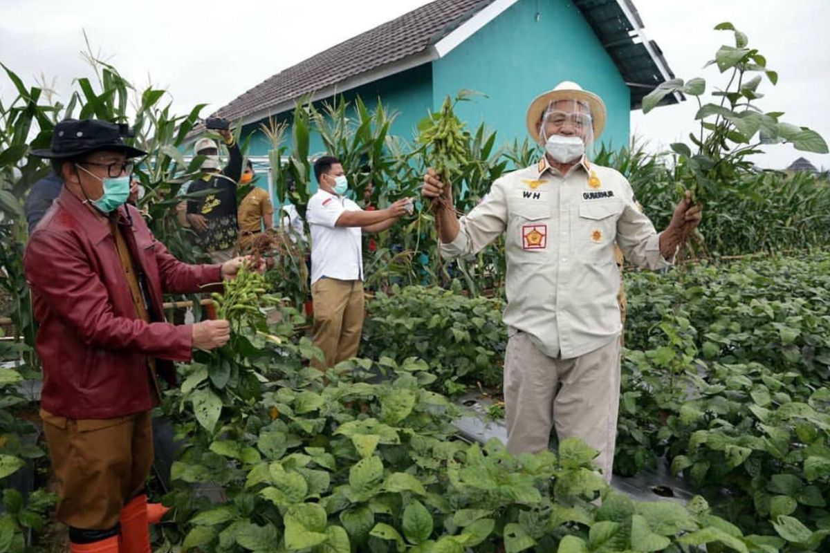 Pemprov Banten dorong peningkatan produksi kacang  kedelai lokal