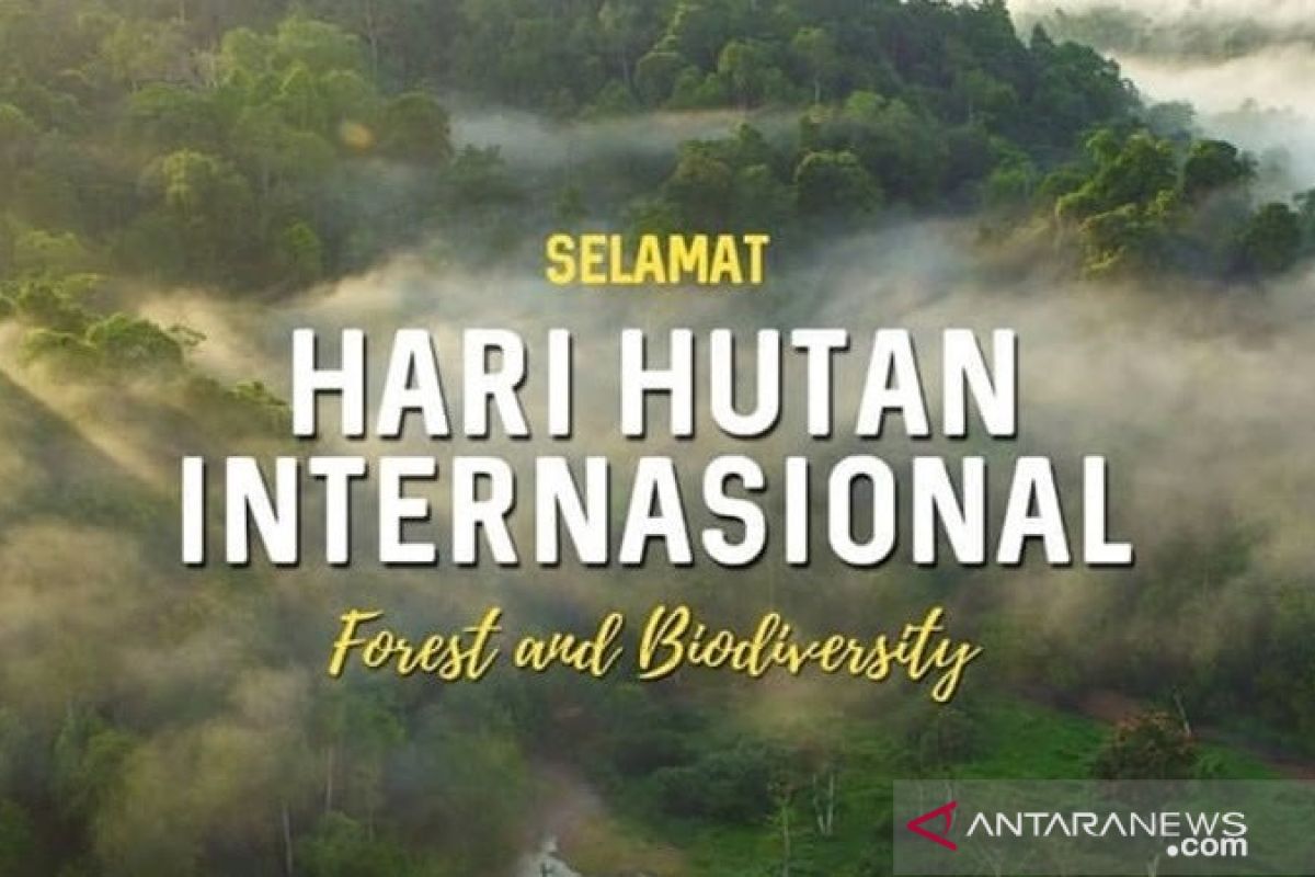 JBI ikut gerakan tanam 1 miliar pohon sambut  Hari Hutan se-Dunia