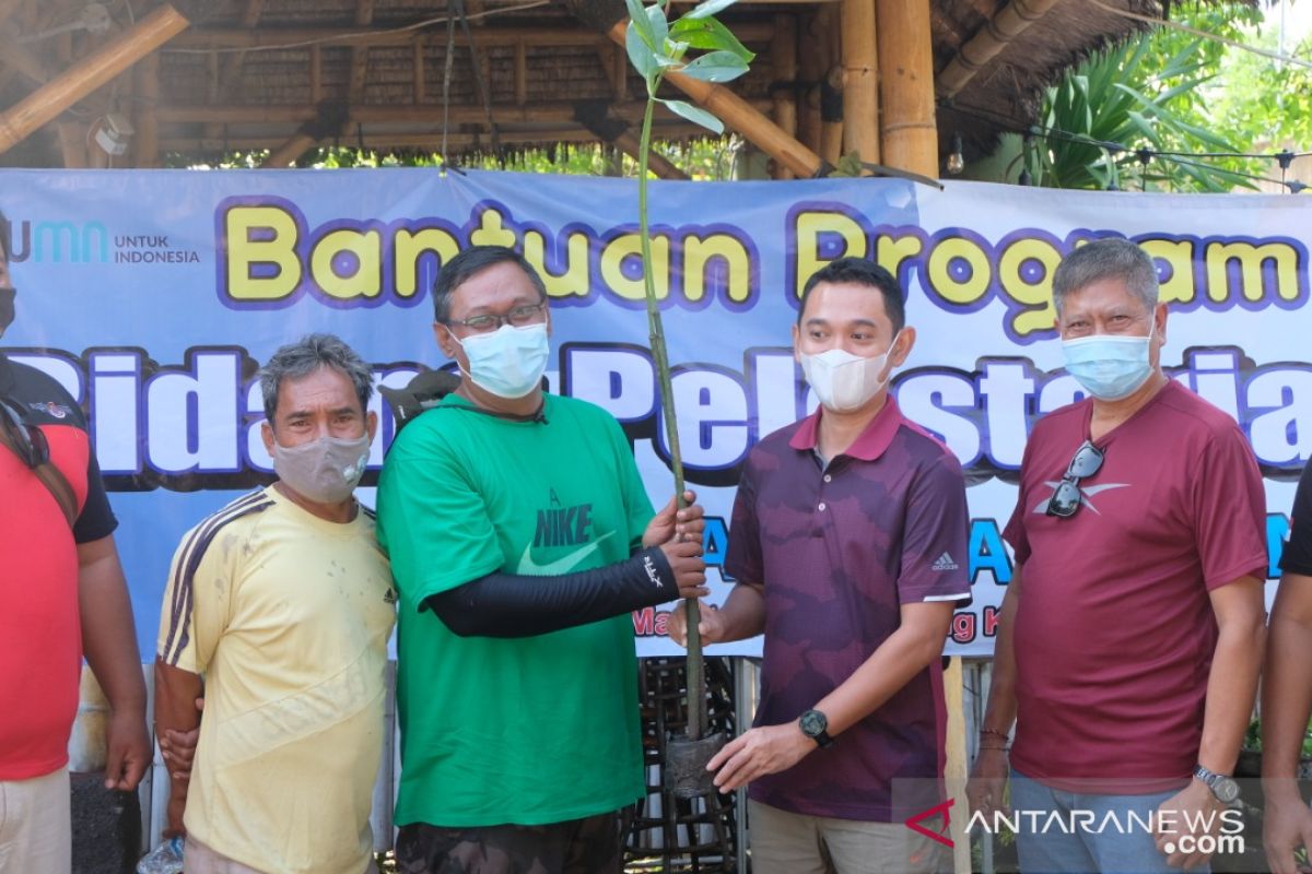 Jasa Raharja Bali dukung penanaman 1.000 mangrove