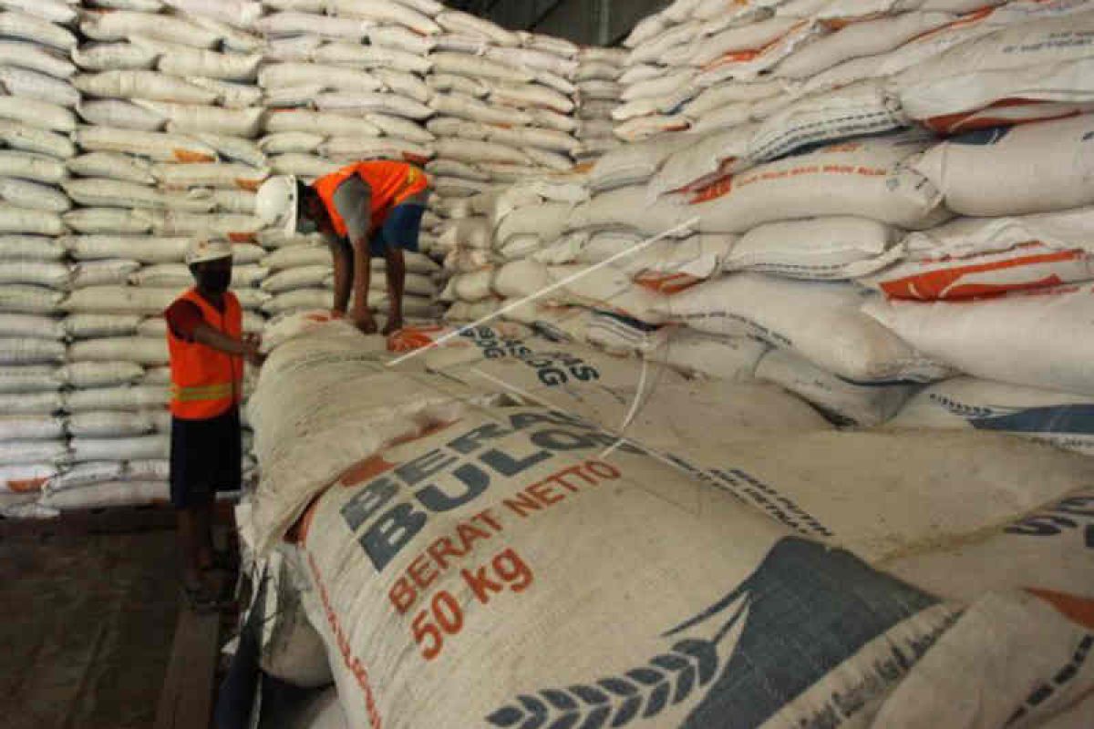 Kemampuan Bulog serap gabah hasil panen petani dipertanyakan