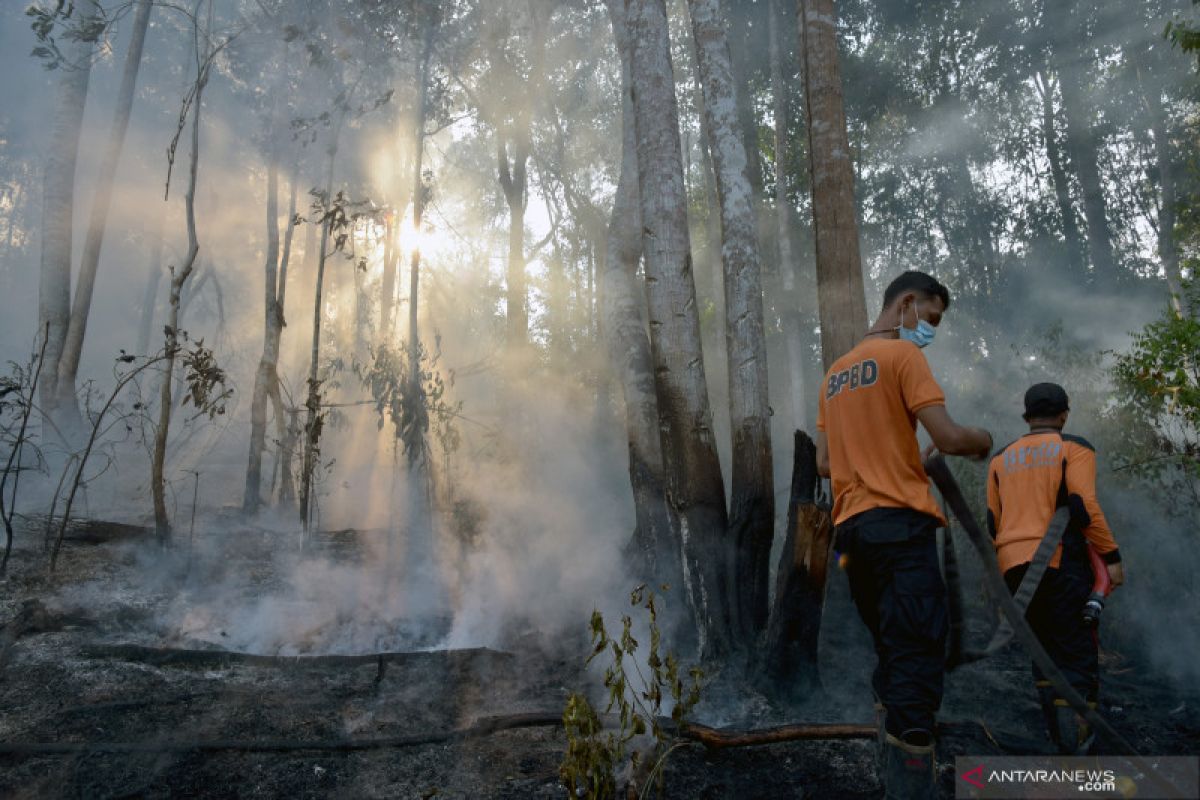 Riau dapat bantuan 3  heli dan 2 pesawat untuk penanggulangan karhutla