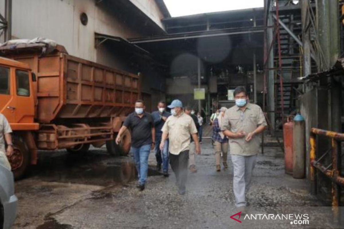 Bangka Belitung gandeng perusahaan sawit tingkatkan pakan sapi