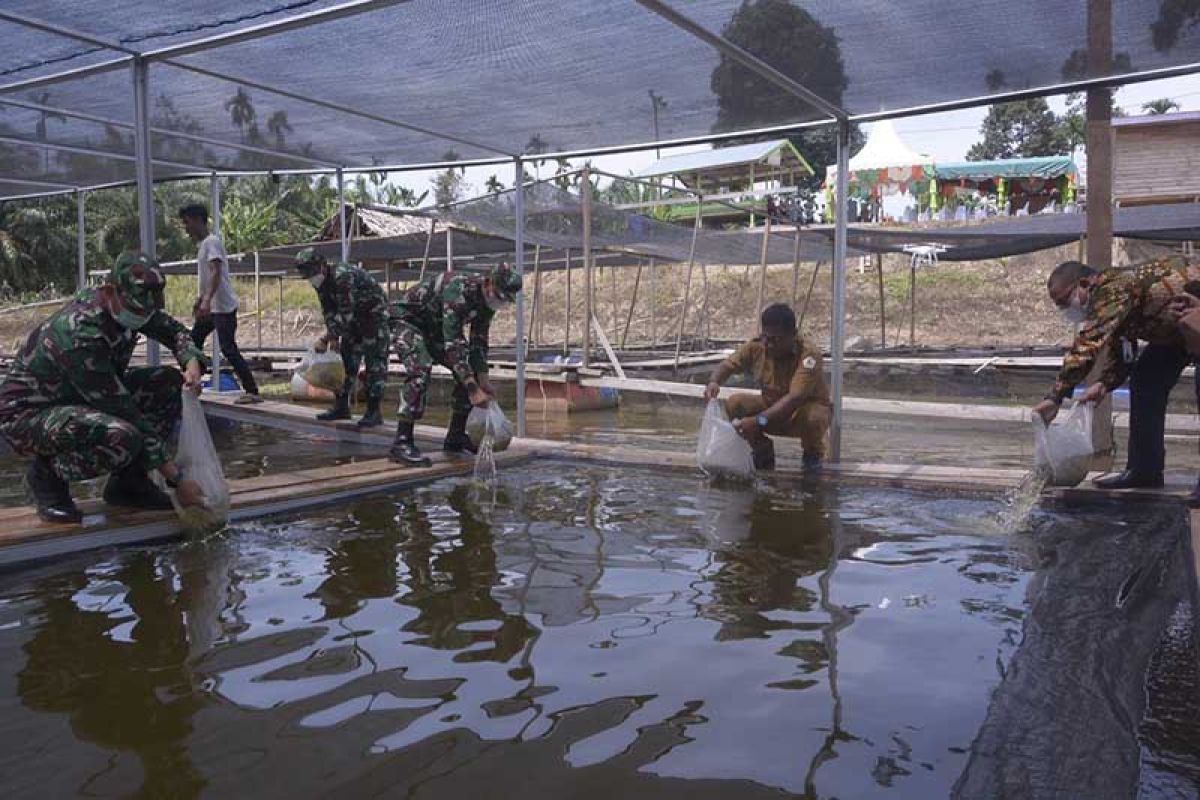 TNI bantu bibit ikan tingkatkan ekonomi masyarakat