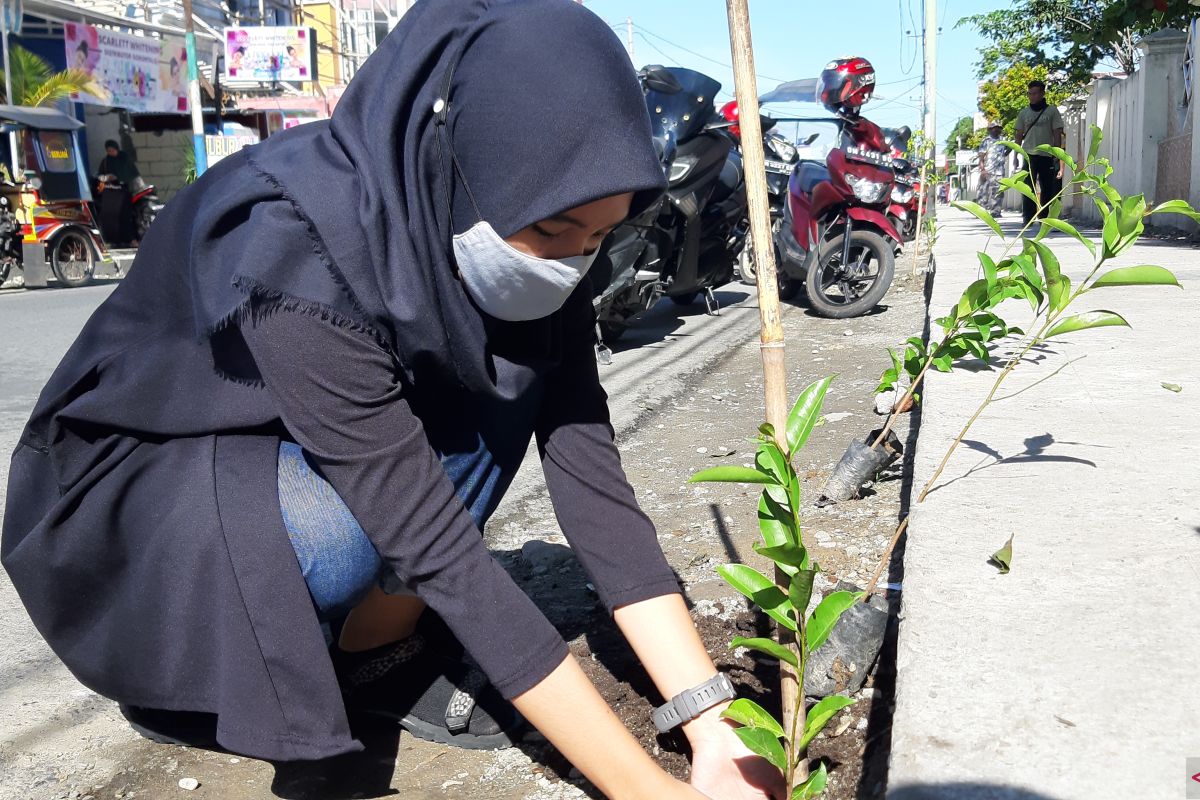Ratusan bibit pohon ditanam sepanjang tepi Jalan Sudirman Gorontalo