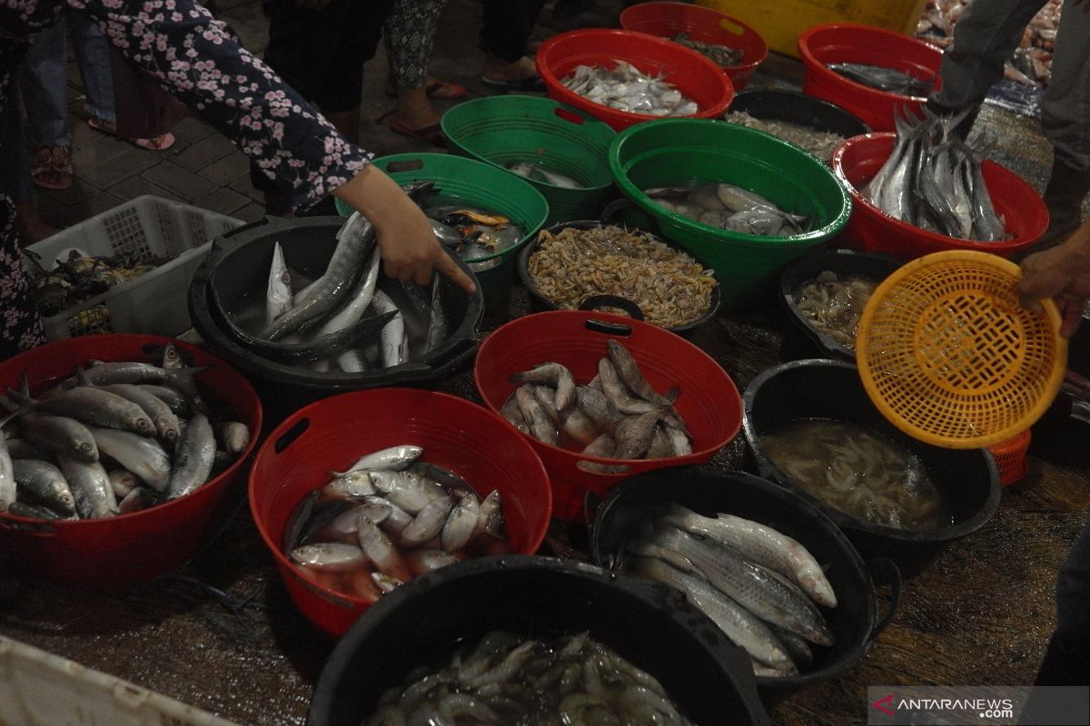 DKP Aceh sosialisasi program gemar makan ikan