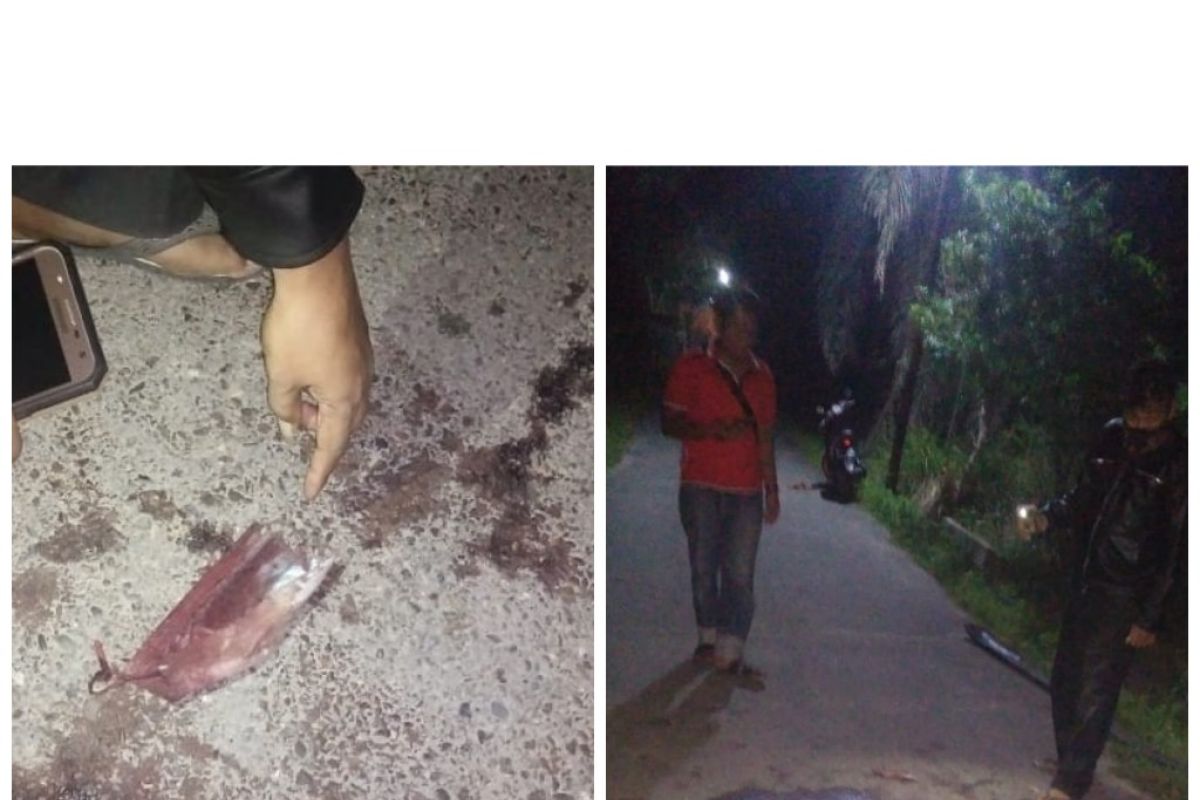 Mayat ditemukan di Kecamatan Binjai Utara, diduga korban penganiayaan