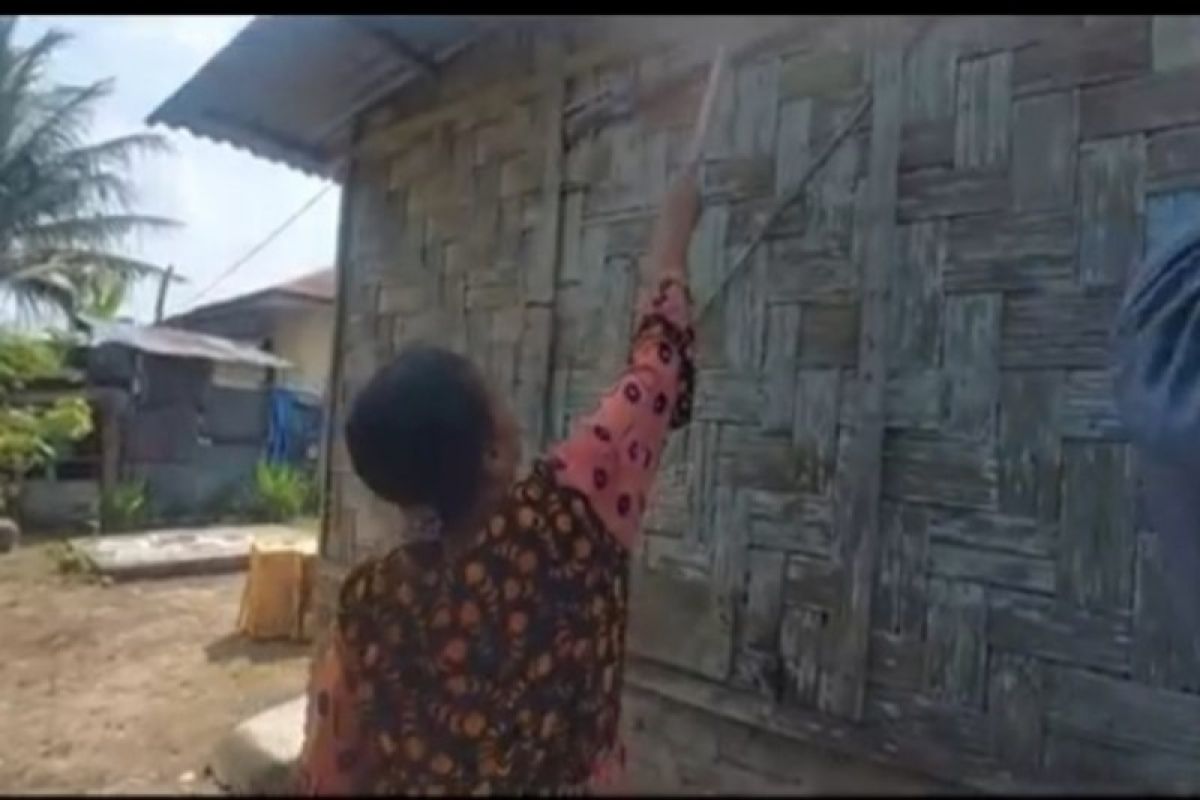 Ribuan ulat bulu serang rumah warga di Tebing Tinggi