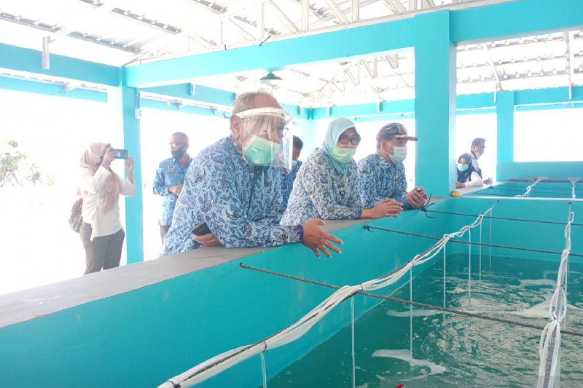 Pemkab Buol  kirim petambak ke Takalar belajar budidaya benih udang vaname