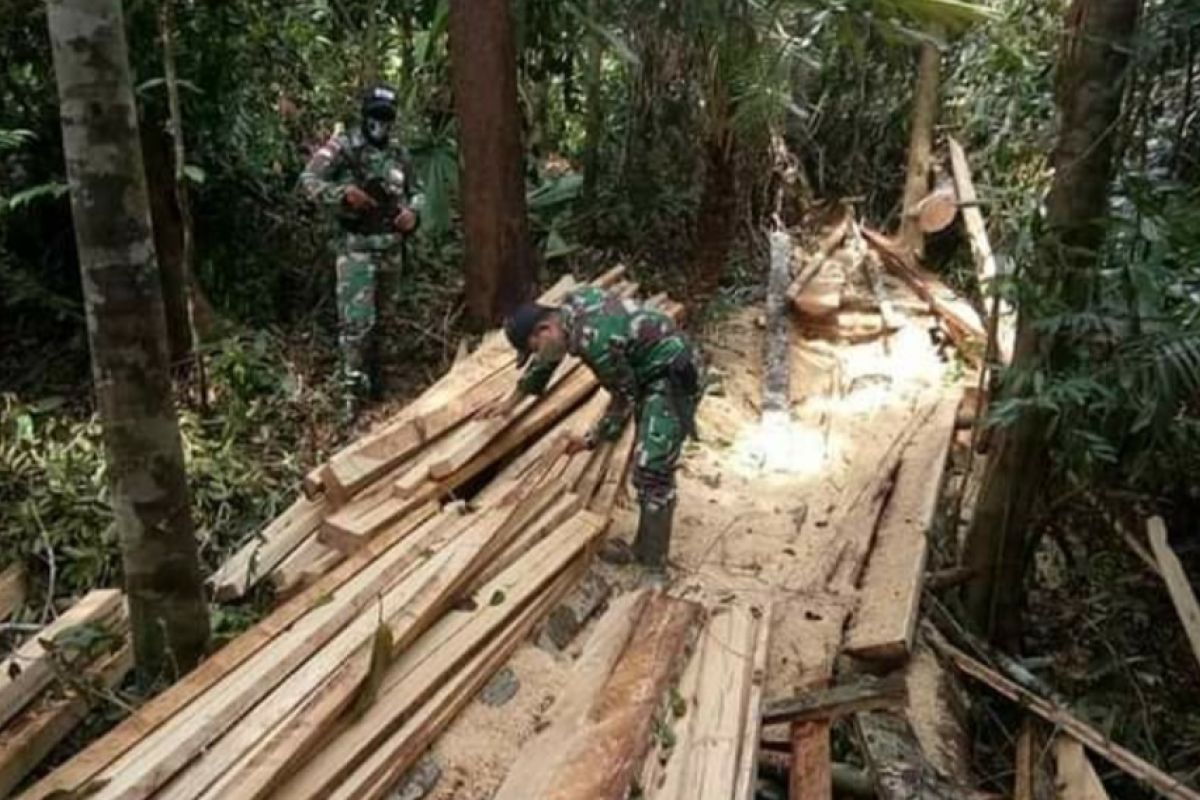 Polisi tetapkan dua tersangka kasus pembalakan liar di Putussibau Utara