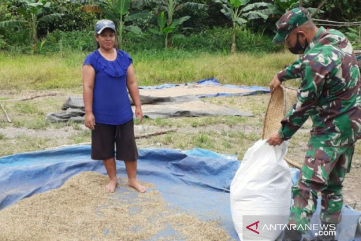 Anggota TNI di Belitung bantu petani panen dan menjemur padi