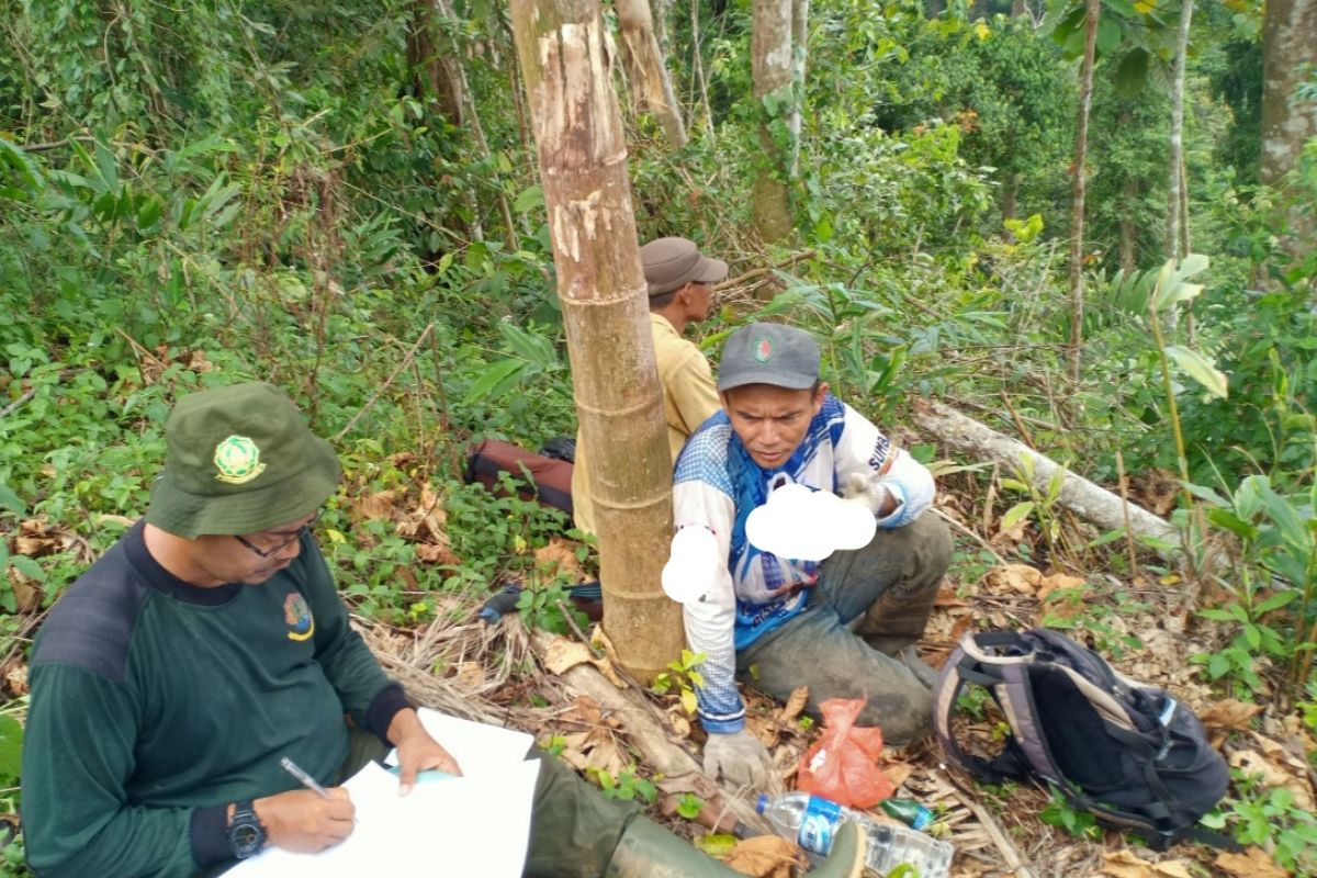 TNKS matangkan kemitraan berbasis wilayah adat di Sungai Gambir Sako