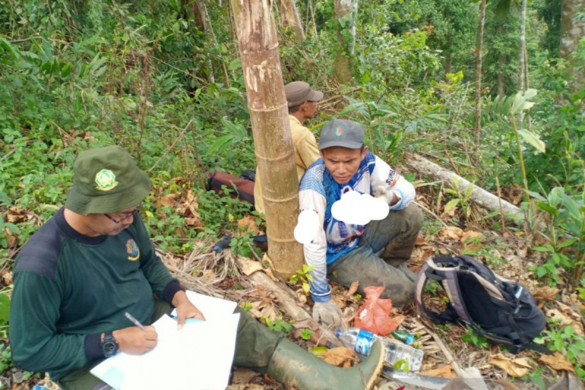 TNKS matangkan kemitraan berbasis wilayah adat di Sungai Gambir Sako