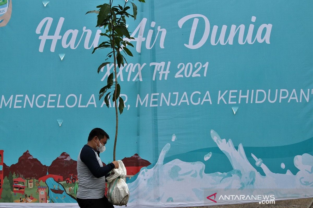 PENANAMAN POHON DI HARI AIR DUNIA