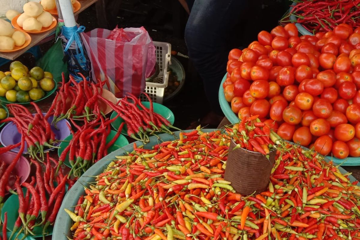Harga cabai merah di pasar tradisonal Ambon melonjak