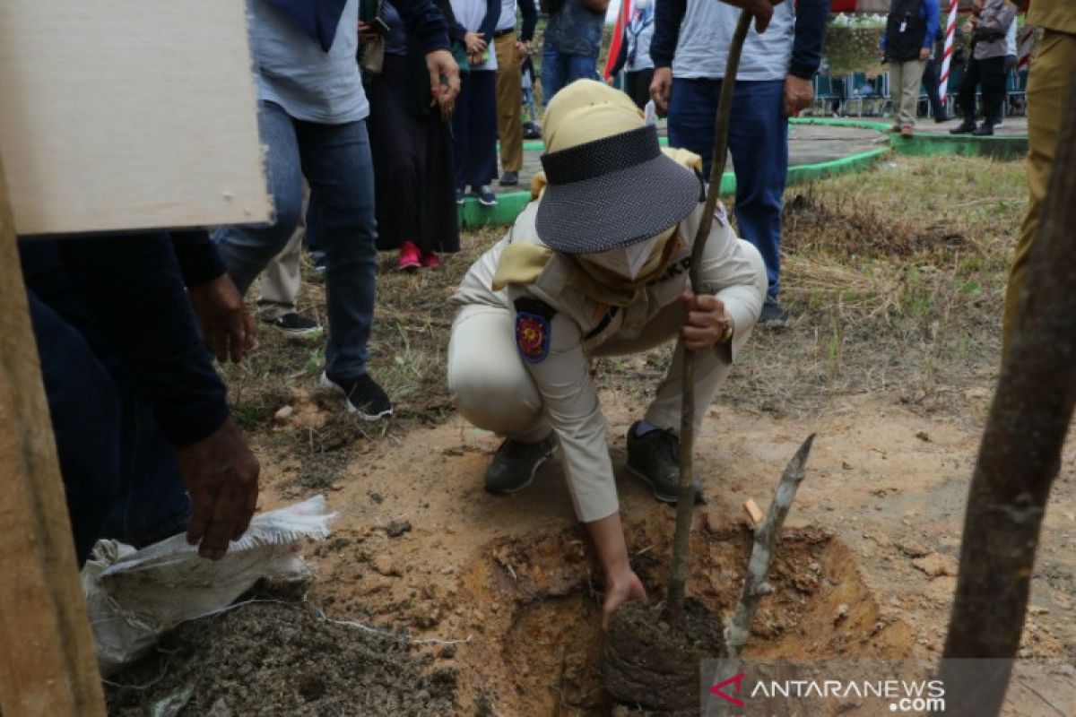 Balai Wilayah Sungai Kendari tanam 750 pohon pada Hari Air Dunia ke-29