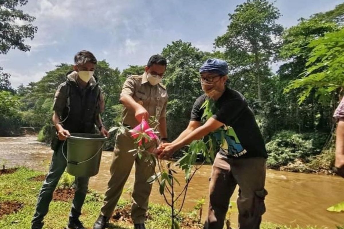 Anies tanam pohon di TMB Gintung peringati Hari Air