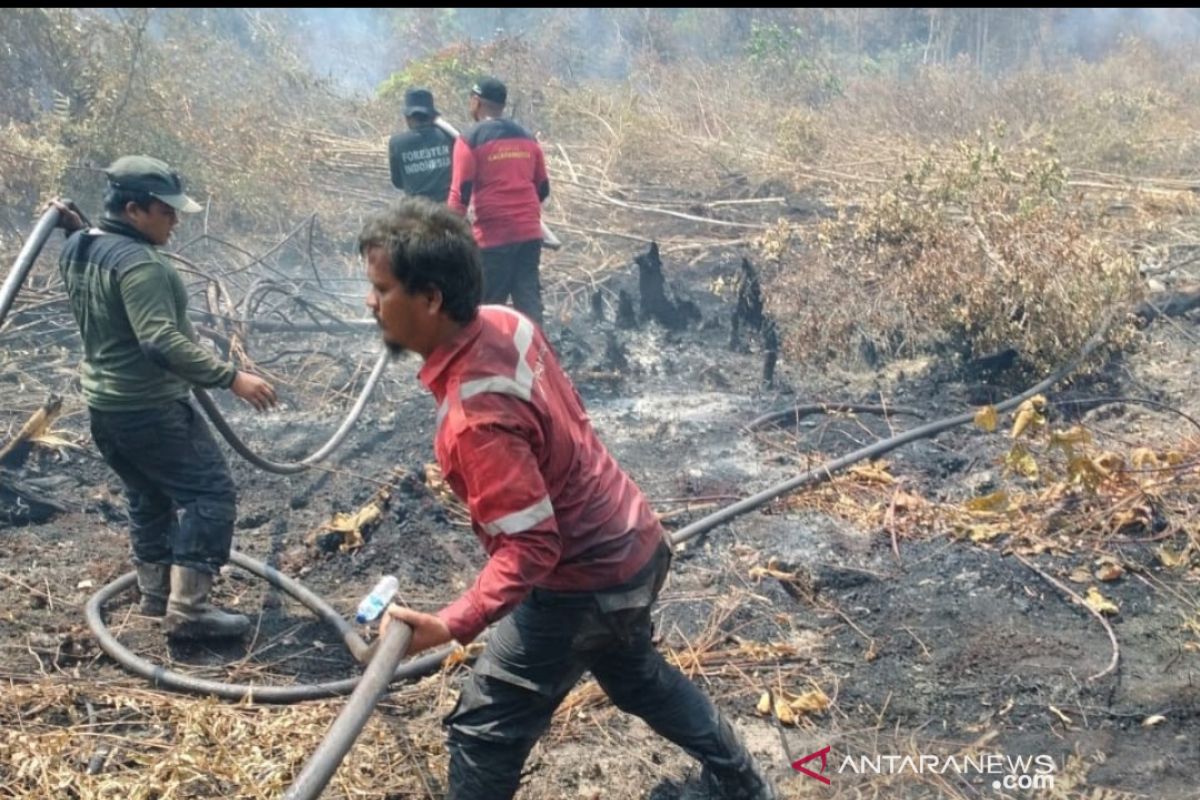 811 hektare lahan terbakar di Riau, tiga daerah masih pemadaman