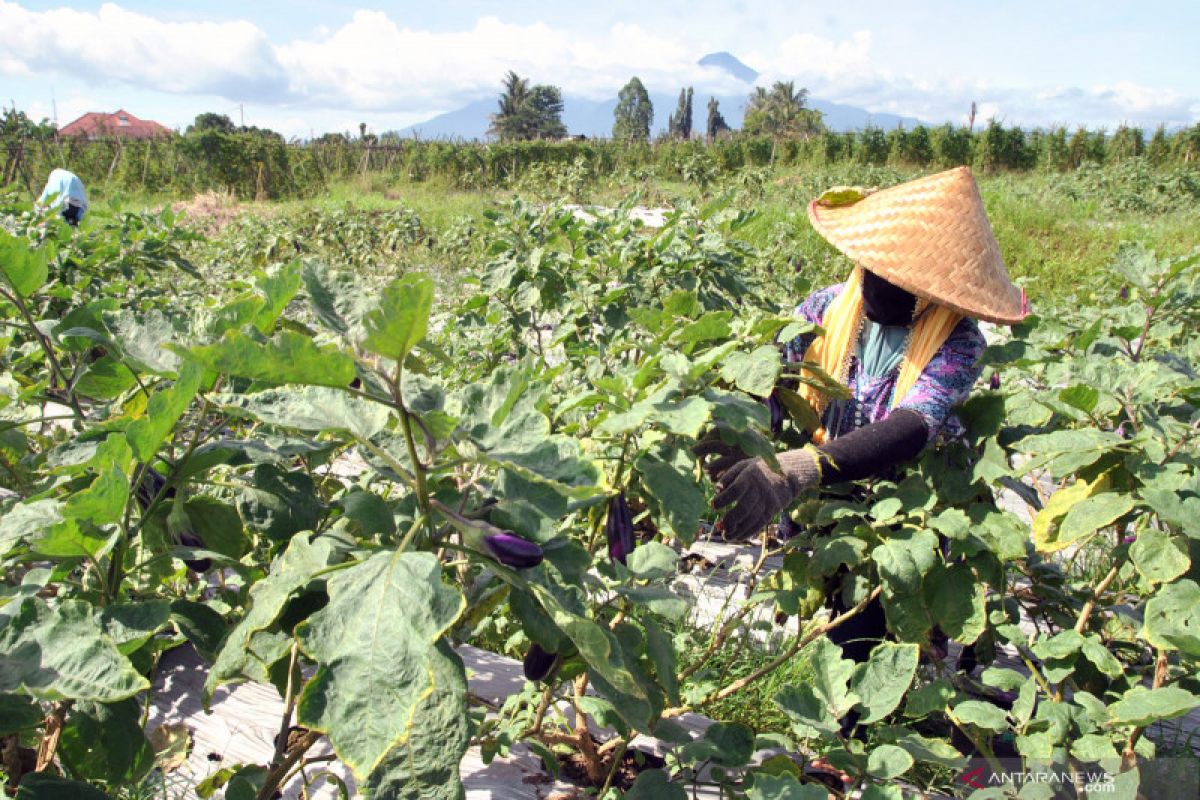 DPRD Bogor dorong pemulihan ekonomi melalui sektor pertanian