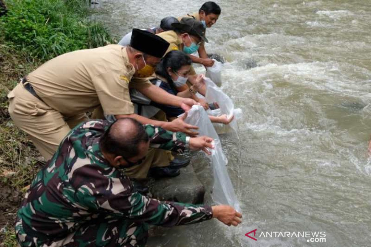 Peringati Hari Air, Temanggung tebar ikan dan tanam pohon