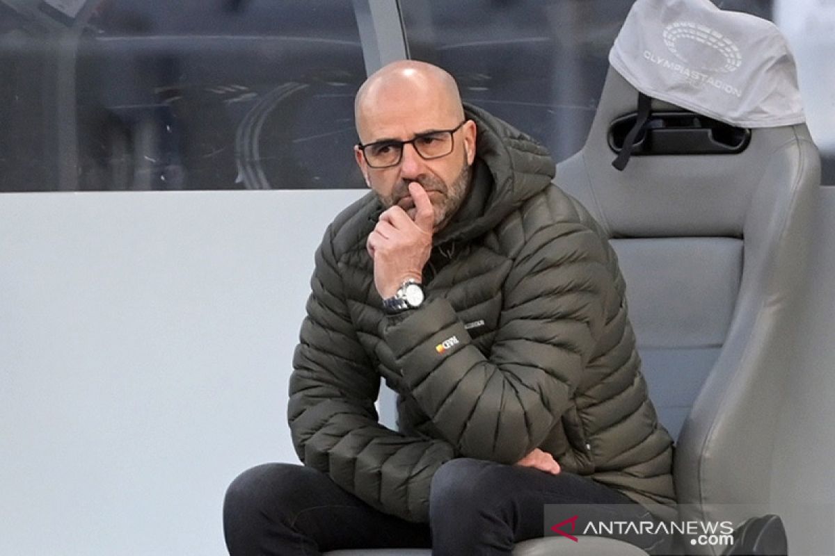 Leverkusen pecat Bosz, tunjuk Wolf hingga akhir musim