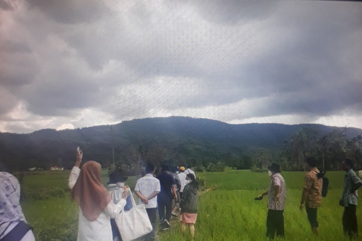 Pemerintah berupaya pertahankan lahan sawah untuk kestabilan pangan