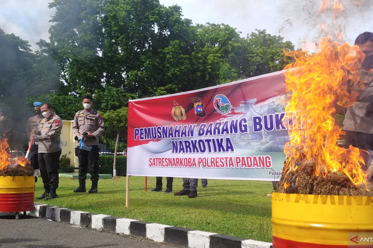 Polresta Padang musnahkan 30 Kilogram ganja kering