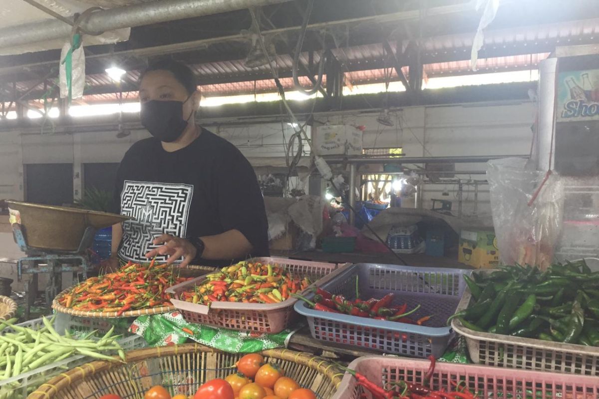 Jelang Ramadhan harga cabai di Pasar Paringin naik 50 persen