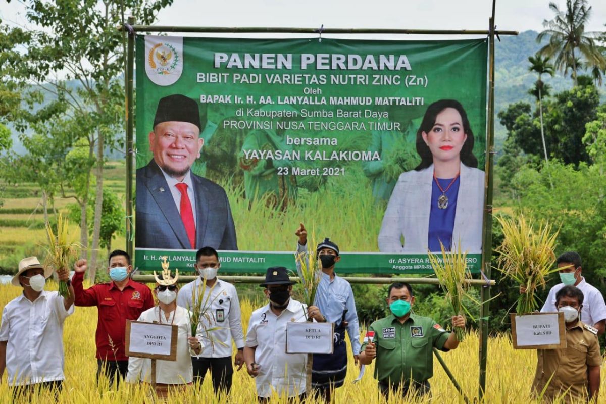 Ketua DPD RI sebut  impor beras bukan solusi di tengah panen petani daerah