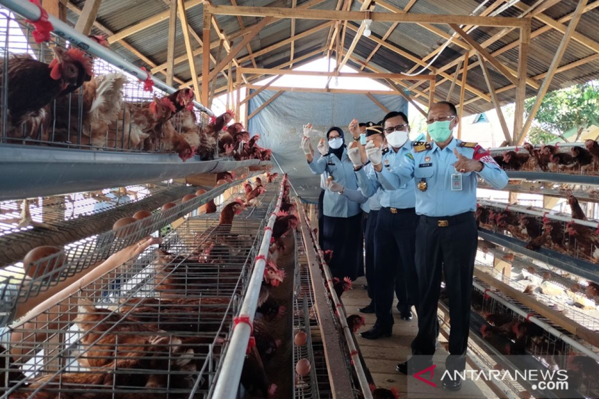 Napi dibekali ilmu beternak ayam dan lele