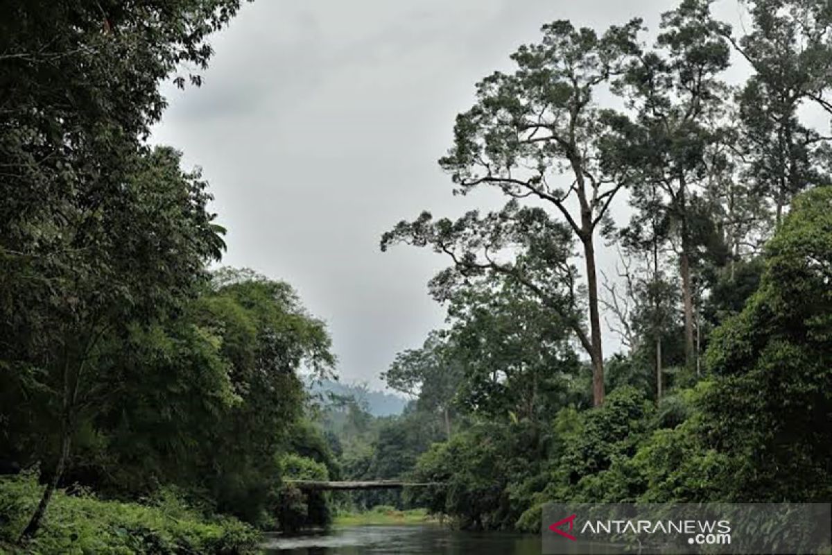 Riau siapkan Rantau Langsat jadi destinasi ekowisata