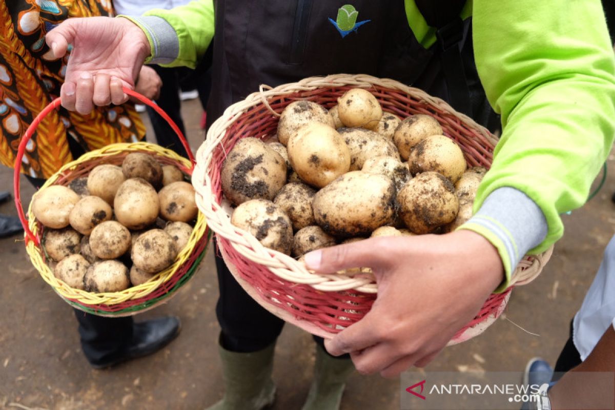 Anggota DPR ingin akses jalan ke Food Estate Sumut segera diselesaikan