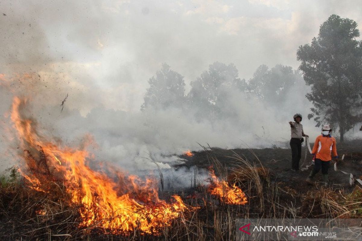 BPBD Riau: Titik api karhutla di Riau turun