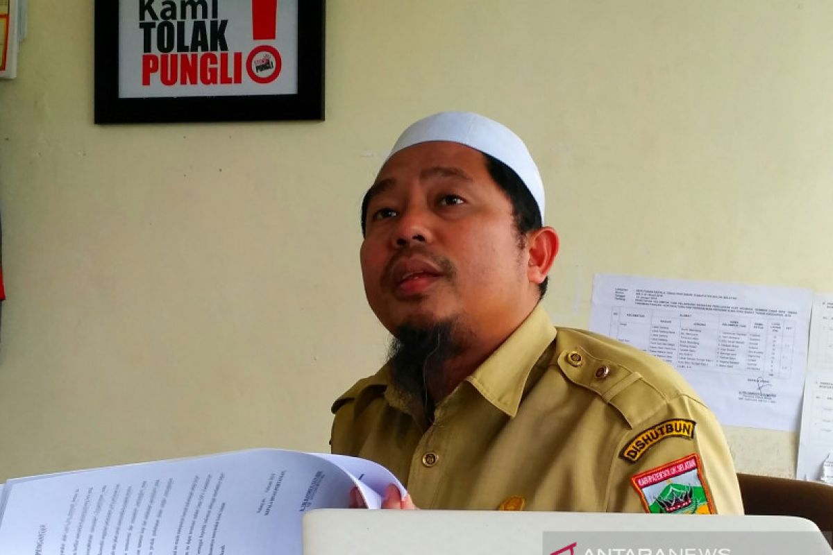 Solok Selatan bantu petani sawit kecambah dan bibit