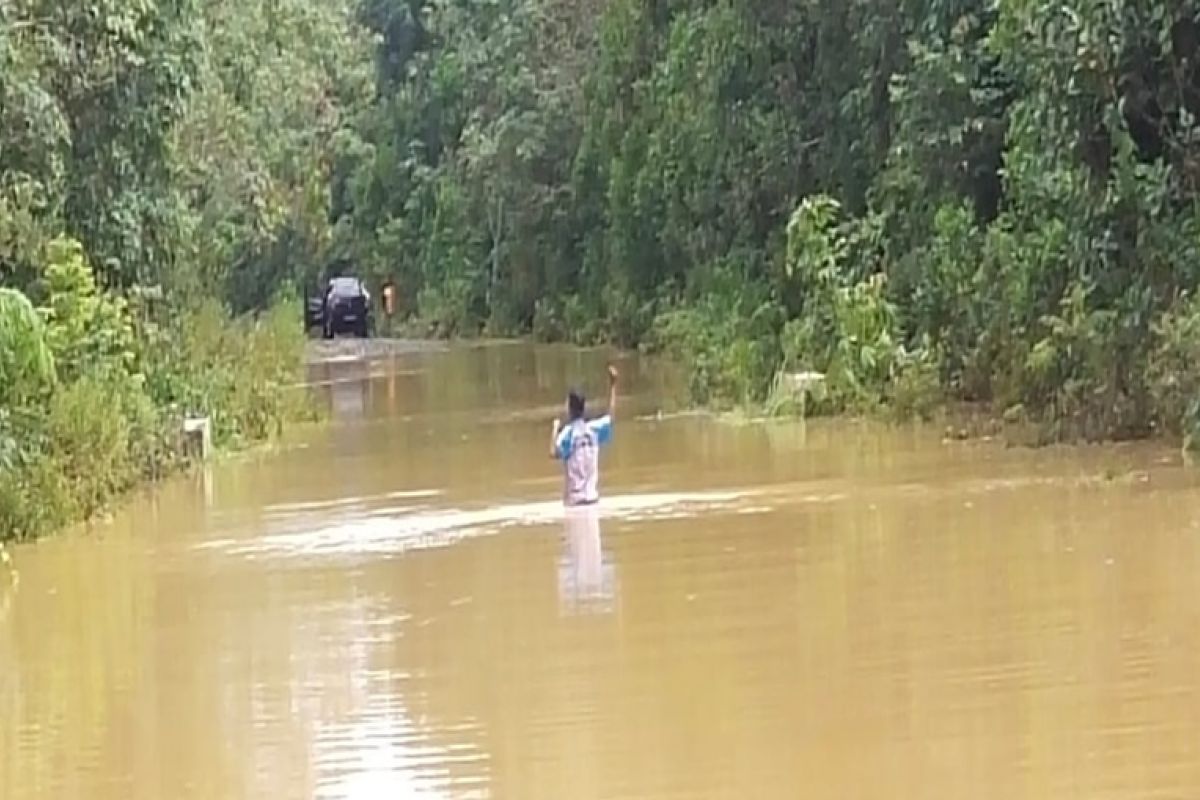 Puluhan hektare kebun karet di Mesuji Lampung terendam banjir