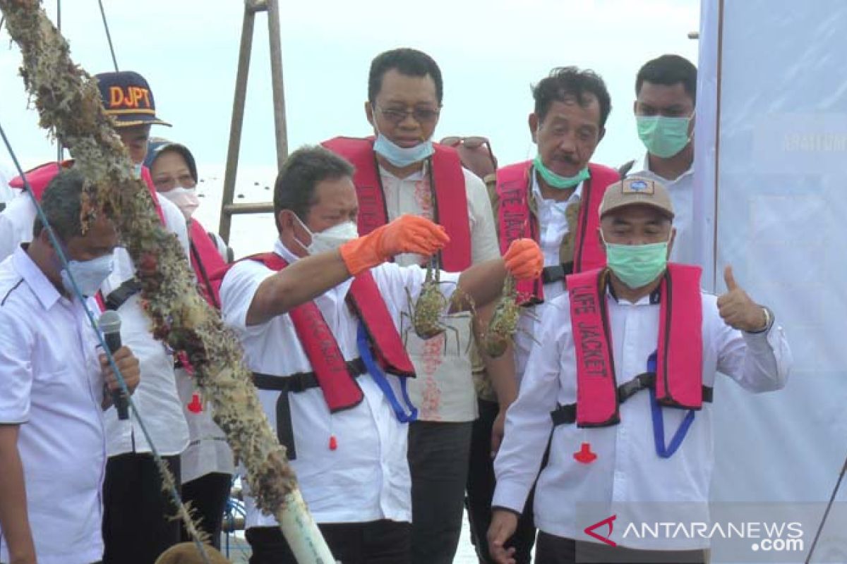Menteri Trenggono akan jadikan Indonesia pembudidaya lobster terbaik