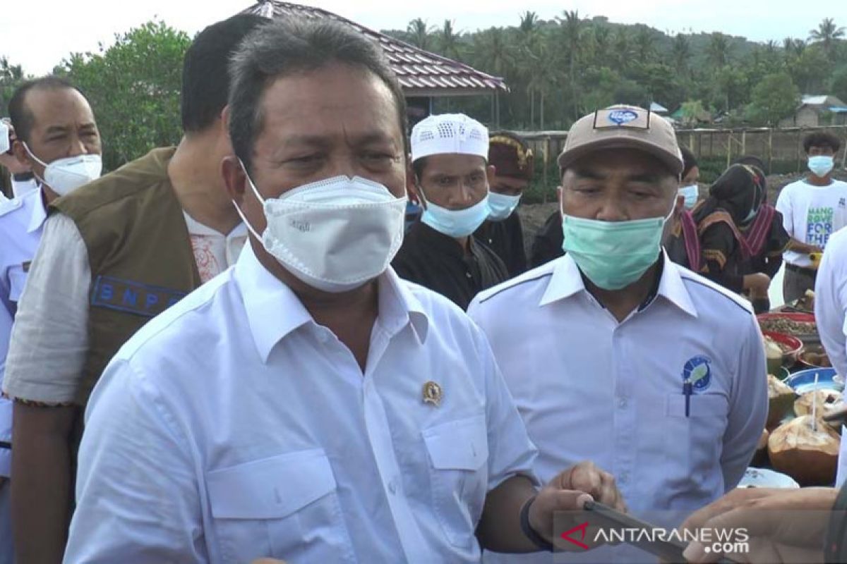 Menteri KP puji kebun pembibitan mangrove Bagek Kembar Lombok